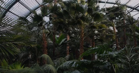 Inside a glas house in summer Stock Footage 126636728