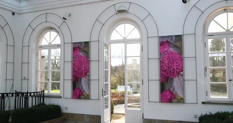 Inside a glas house in summer Stock Footage 126636779