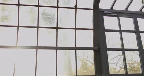 Inside a glas house in summer Stock Footage 126637106