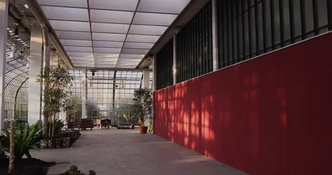 Inside a glas house in summer Stock Footage 126637188