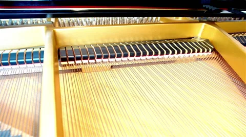 Inside the grand piano Stock Footage 51395495