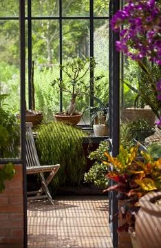 Inside a greenhouse Stock Photos