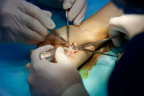 Inside the Hand Foto stock