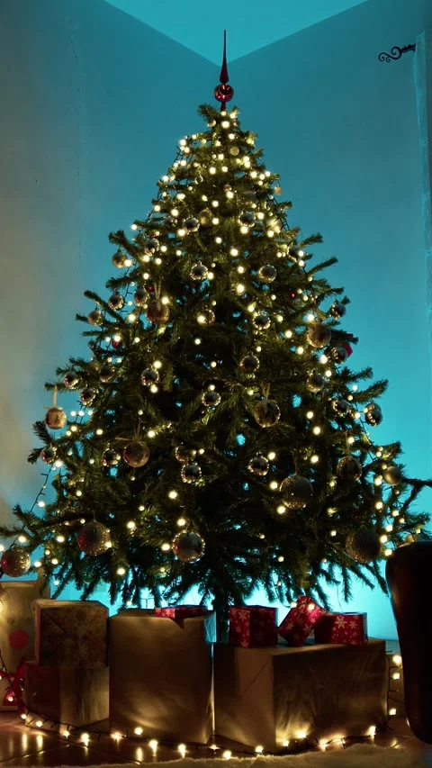 Inside a house for Christmas celebration Stock Footage 292237660