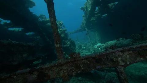 Inside hull, promenade deck of the shipwreck Kingston, Red Sea, Egypt Stock Footage 105535252