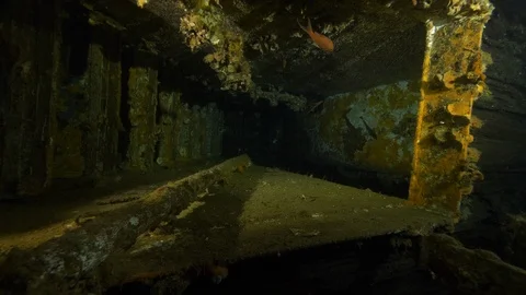 Inside the hull of the shipwreck Nasim with fish, Giannutri Island, Italy Stock Footage 108044531
