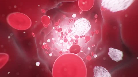 Inside a human blood vessel Stock Footage 54456570