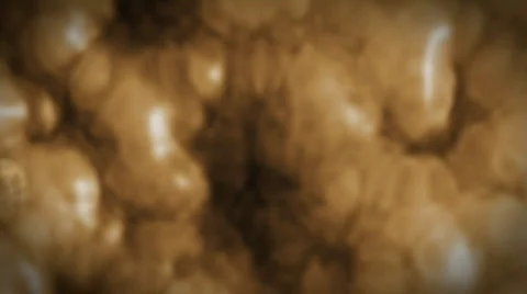 Inside human body,fat cells,highly detailed texture Stock Footage
