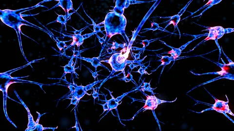 Inside of human brain, nerve cells. Stock Footage 43561937