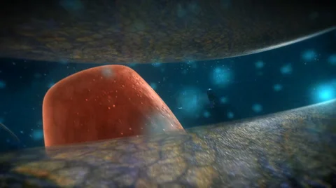 Inside the Human Cell Stock Footage 54766990