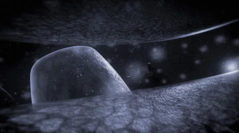 Inside the Human Cell XRAY Stock Footage 54767677