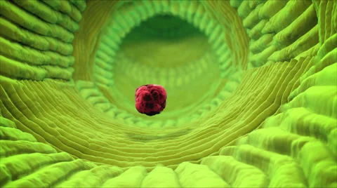 Inside human organism view. Virus in organism. Organic anatomy structure Stock Footage 58797953