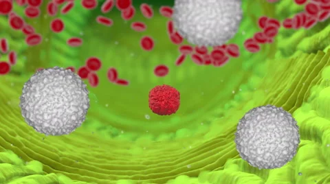 Inside human organism view. Virus in organism. Organic anatomy structure Video stock 58808062