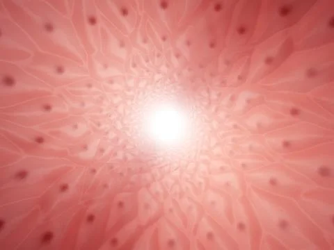 Inside of human vessel Stock Illustration