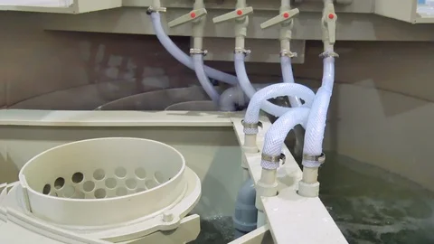 Inside industrial autonomous sewage system Stockbeeldmateriaal 105570431