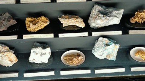 Inside interior of The Museum of Natural History Stockbeeldmateriaal 127640790