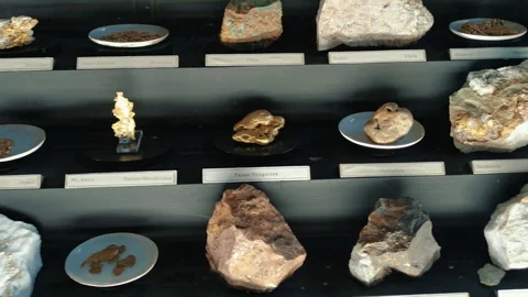Inside interior of The Museum of Natural History Stockbeeldmateriaal 127640832