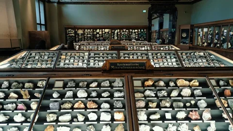 Inside interior of The Museum of Natural History 库存影片 127640864