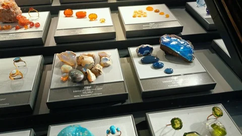 Inside interior of The Museum of Natural History Видео 127640868