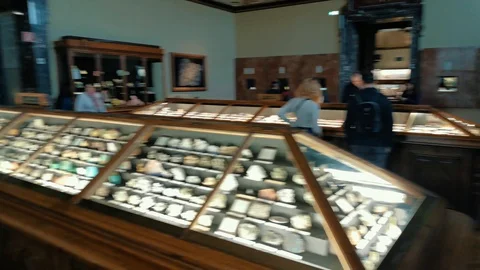 Inside interior of The Museum of Natural History Vídeo Stock 127640933