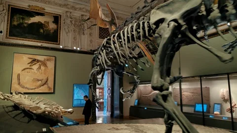 Inside interior of The Museum of Natural History 動画素材 127641282