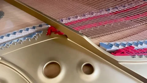 Inside Interior Strings of Grand Piano Keyboard Video stock 241527864