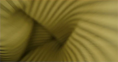 Inside of jacket sleeve Video stock 126259310