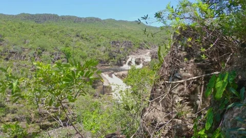Inside a Jungle in front of a waterfall - Zoom Out Video stock 135983328