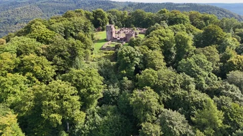 Inside Klosterruine St Michael Ruins in Heidelberg Stock Footage 334877631