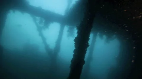 Inside the Liberty shipwreck underwater Stock Footage 41618565