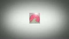 Inside the logo Stock After Effects