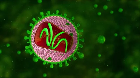 Inside look of virus, animation 3D rendering of random virus Stock Footage 270440352