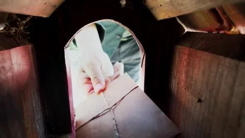Inside Mailbox POV of Hand Removing Envelope from Garden Mailbox Stock Footage 344623401