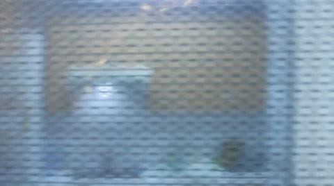 From inside a microwave oven Vidéo 8923705