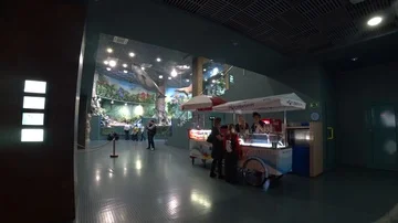 Inside Moskvarium in Moscow Stock Footage 86154521