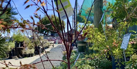 Inside nursery Stock Footage 126261020