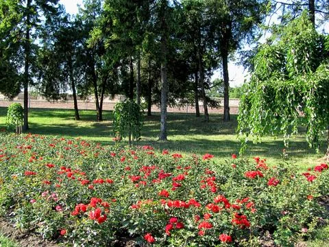 Inside of old castle stone brick. Green grass park in the Kalemegdan fortress Stock Photos