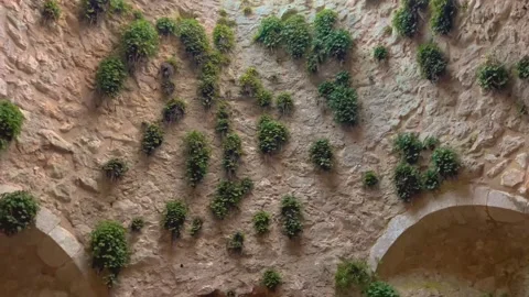 Inside an Old Tower Ruin - Abbey - Abbazia della Santissima Trinità Stock Footage 222582856