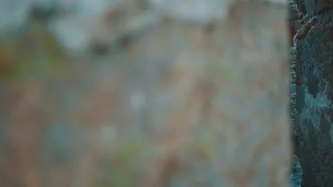 Inside an Old Tower Ruin | HD Stock Footage 88324108