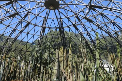 Inside an open-air dome made from steel and glass, the interior is filled w.. Stock Photos