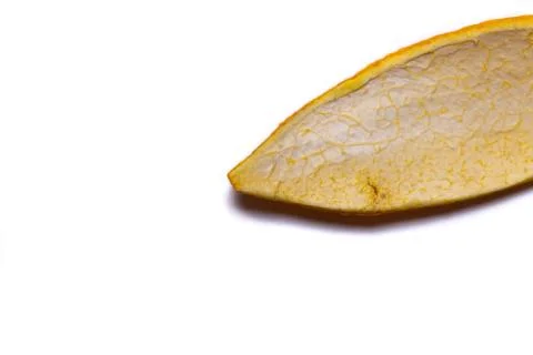 The inside of an orange peel Stock Photos