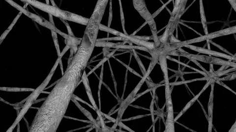 Inside organic mesh. Seamless loop Stock Footage 230384011