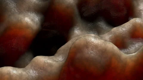 Inside organism view. Organic cell surface Stock Footage 57092906