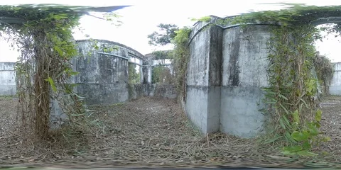 Inside a Overgrown  Abandoned House 1 - 360 VR Video stock 86409920