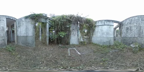 Inside a Overgrown  Abandoned House 2 - 360 VR Stock Footage 86409948
