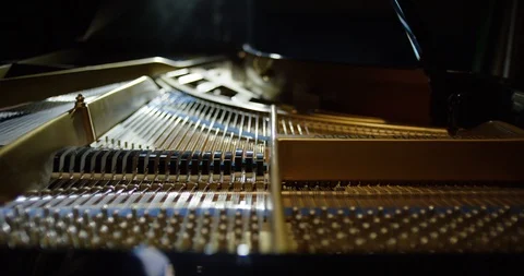 Inside the piano Vidéo 114830335