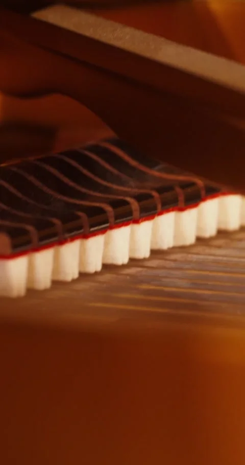 The inside of the piano Stock Footage 313087591