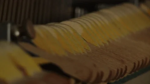 Inside Piano Hammer Hitting Strings Stock Footage 108401124