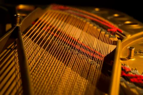 Inside The Piano Photos