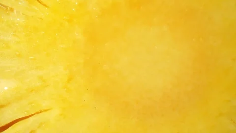 Inside pineapple in macro video with a probe lens Stock Footage 242059472